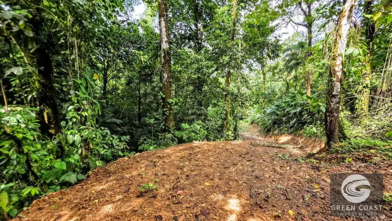 Green Coast Investments: Expansive 86-Hectare Waterfall Estate with Ocean Views in Dominical — view 51, Dominical, Costa Rica