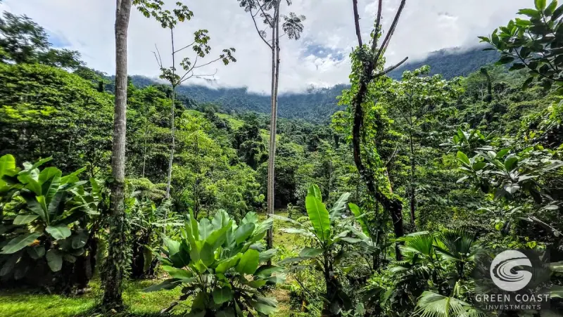 Green Coast Investments: Expansive 86-Hectare Waterfall Estate with Ocean Views in Dominical — view 57, Dominical, Costa Rica