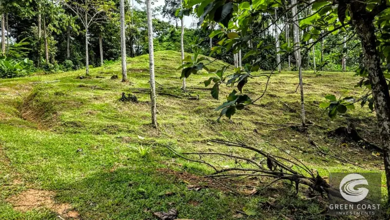 Green Coast Investments: Expansive 86-Hectare Waterfall Estate with Ocean Views in Dominical — view 58, Dominical, Costa Rica