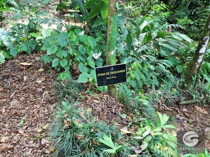74-Acre Eco-Lodge Opportunity with 25 Waterfalls in Rio Claro, Costa Rica — view 7, Rio Claro, Golfito, Costa Rica