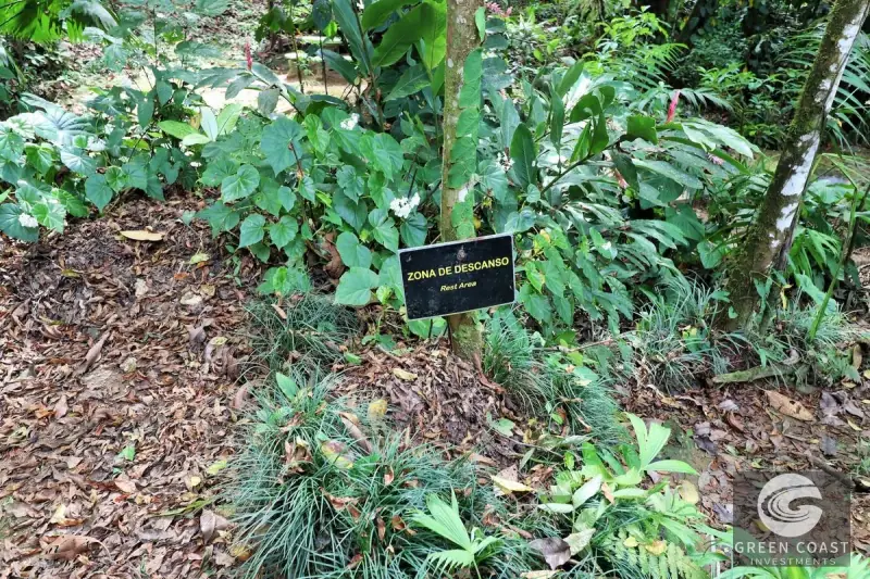 74-Acre Eco-Lodge Opportunity with 25 Waterfalls in Rio Claro, Costa Rica — view 21, Rio Claro, Golfito, Costa Rica
