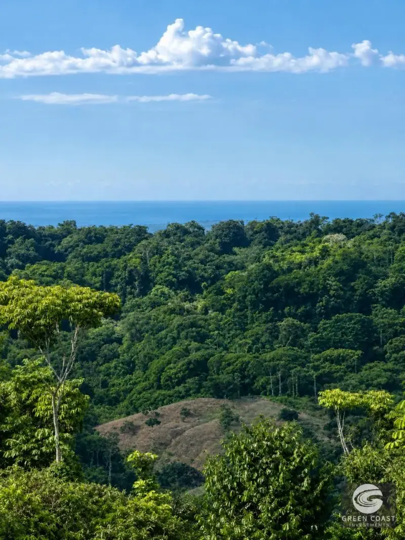 River & ocean view  Mini-farms at the Eco-community of Finca Paso Fino.