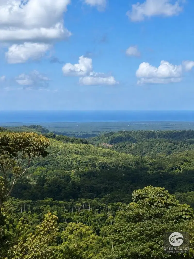 River & ocean view  Mini-farms at the Eco-community of Finca Paso Fino.