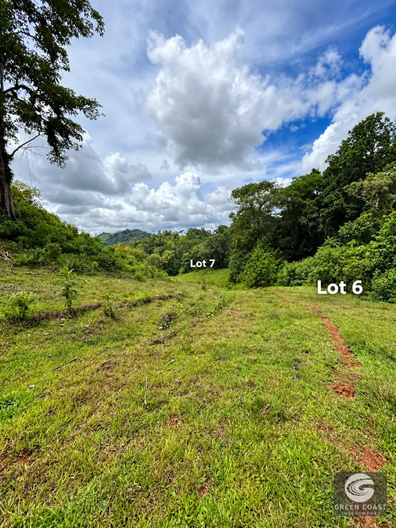 River & ocean view  Mini-farms at the Eco-community of Finca Paso Fino.