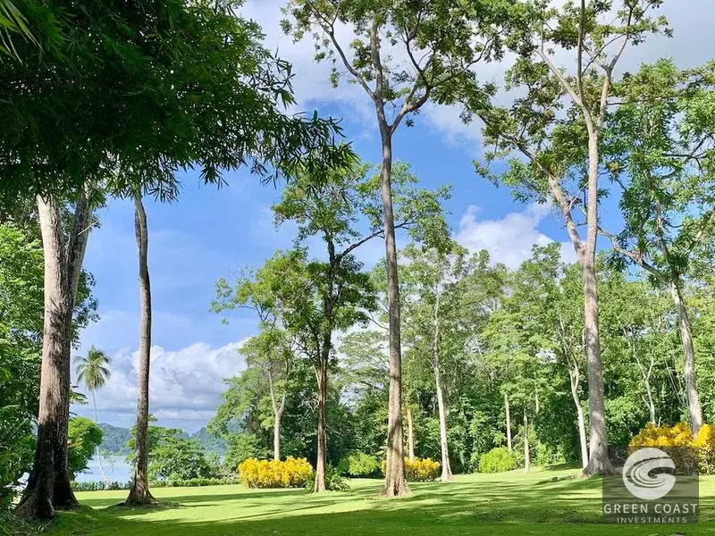 54-Acre Titled Coastal Rainforest Estate on Golfo Dulce | Green Coast Investments — view 4, Puerto Jimenez, Costa Rica