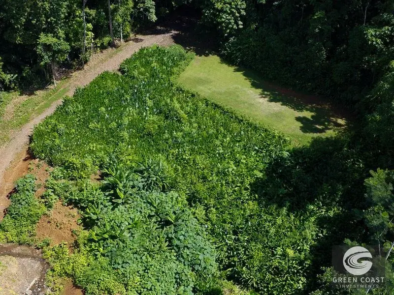 54-Acre Titled Coastal Rainforest Estate on Golfo Dulce | Green Coast Investments — view 6, Puerto Jimenez, Costa Rica