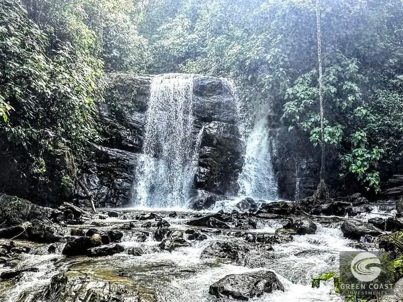 54-Acre Titled Coastal Rainforest Estate on Golfo Dulce | Green Coast Investments — view 22, Puerto Jimenez, Costa Rica