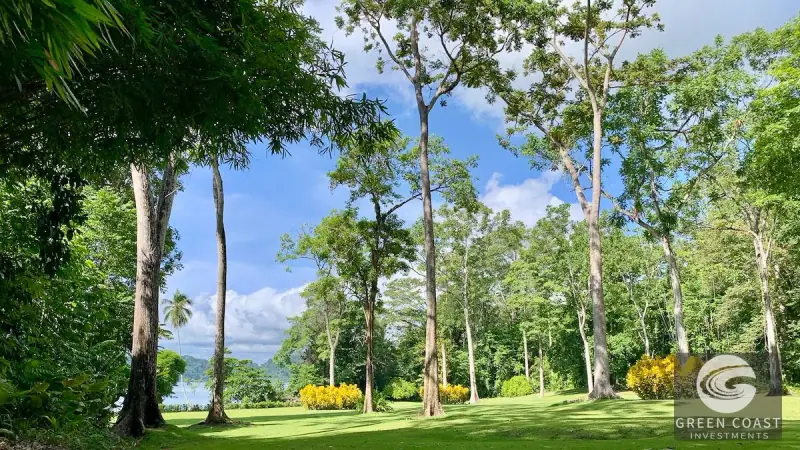 54-Acre Titled Coastal Rainforest Estate on Golfo Dulce | Green Coast Investments — view 26, Puerto Jimenez, Costa Rica