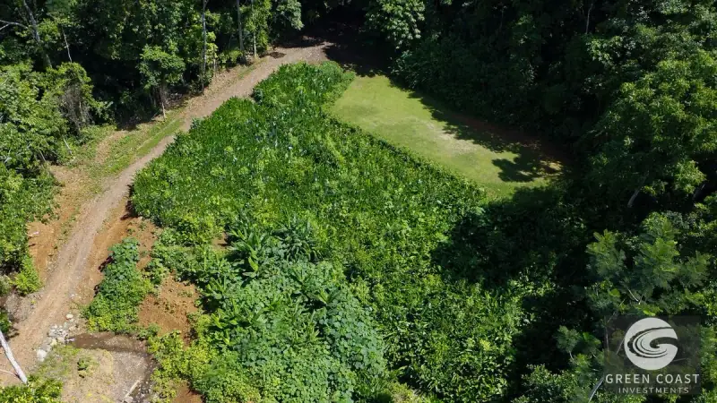 54-Acre Titled Coastal Rainforest Estate on Golfo Dulce | Green Coast Investments — view 28, Puerto Jimenez, Costa Rica