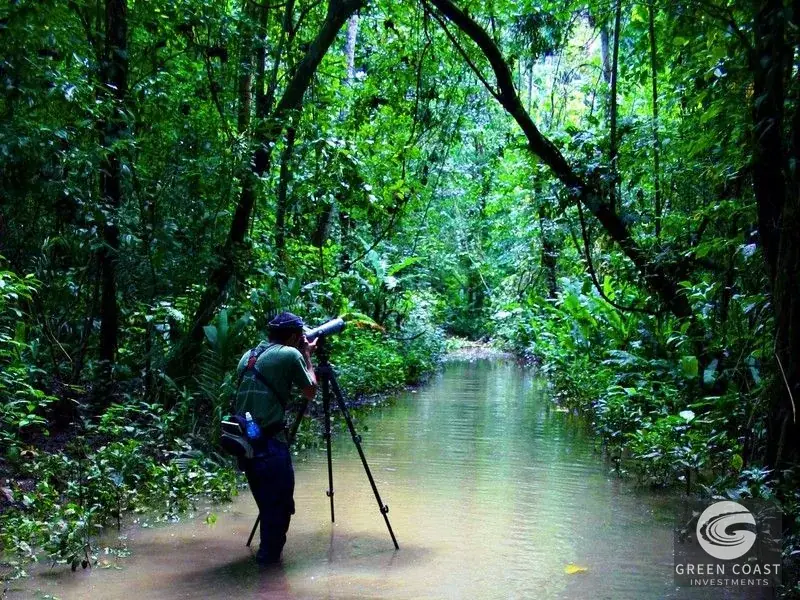 165-Acre Eco-Lodge & Rainforest Estate in Golfito, Costa Rica — view 17, Golfito, Costa Rica