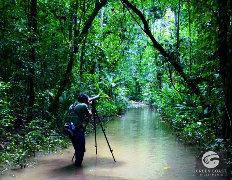 165-Acre Eco-Lodge & Rainforest Estate in Golfito, Costa Rica — view 41, Golfito, Costa Rica