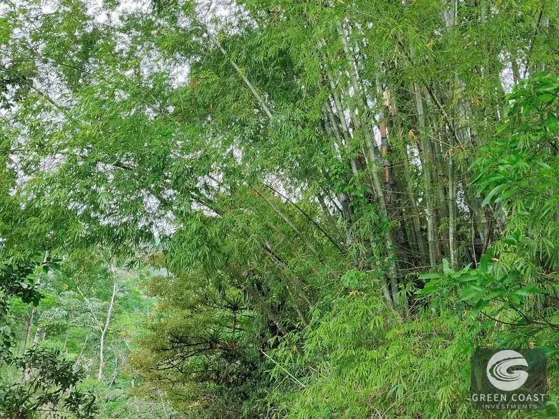 777-Acre Savegre Biosphere Estate in Quepos with Ocean Views, Riverfront & Eco Tiny Home — view 5, Quepos, Costa Rica