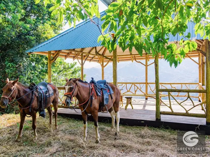 777-Acre Savegre Biosphere Estate in Quepos with Ocean Views, Riverfront & Eco Tiny Home — view 10, Quepos, Costa Rica