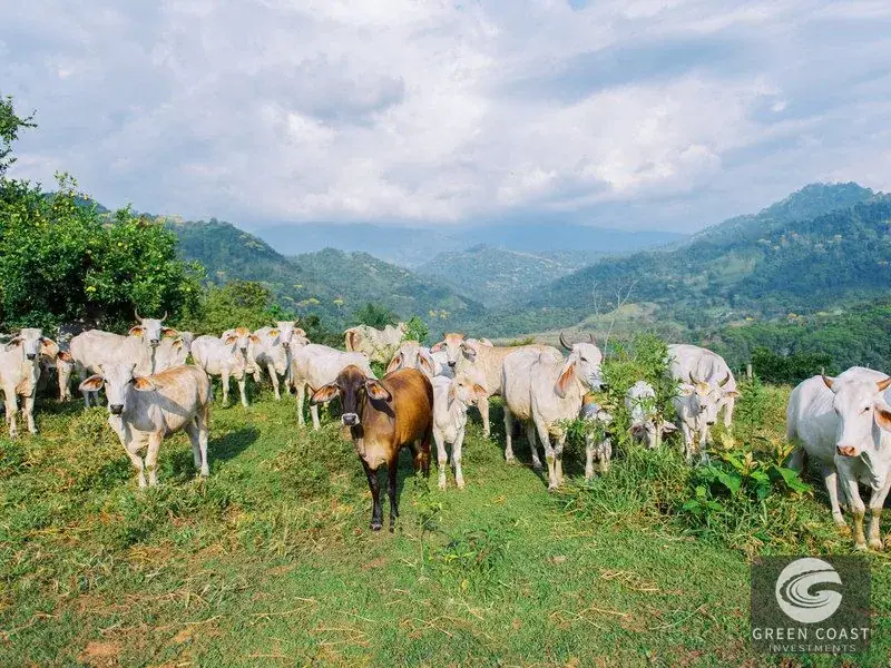 777-Acre Savegre Biosphere Estate in Quepos with Ocean Views, Riverfront & Eco Tiny Home — view 11, Quepos, Costa Rica