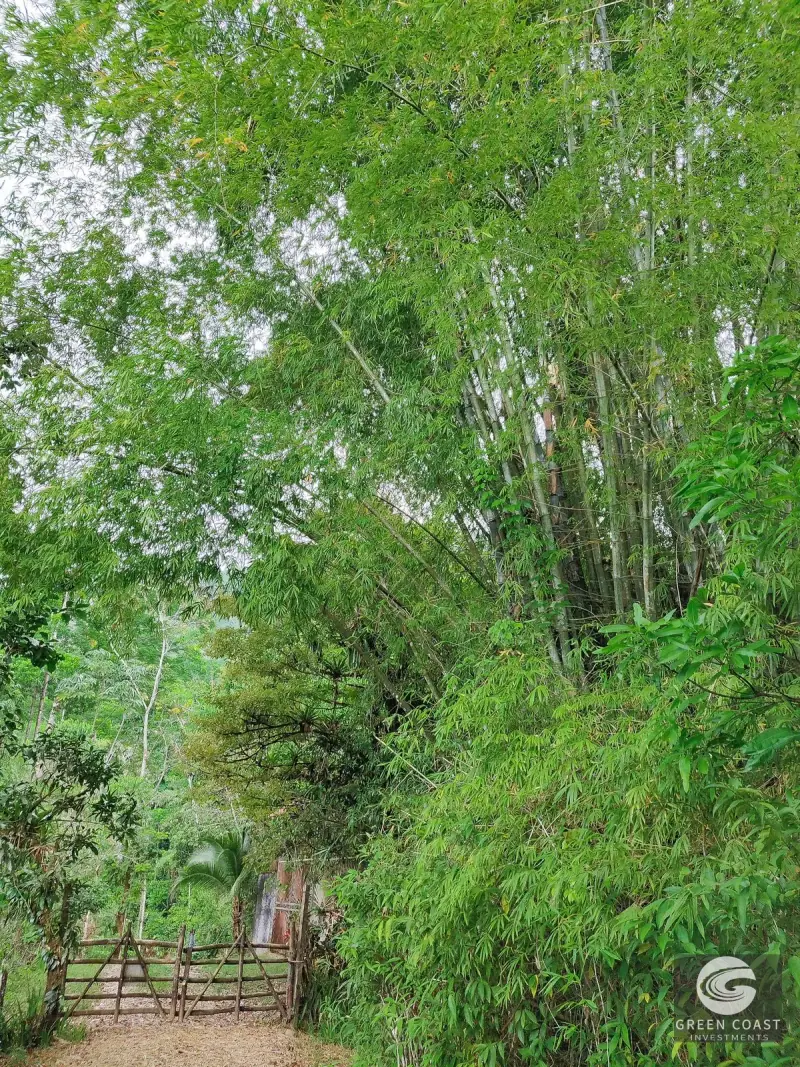 777-Acre Savegre Biosphere Estate in Quepos with Ocean Views, Riverfront & Eco Tiny Home — view 39, Quepos, Costa Rica