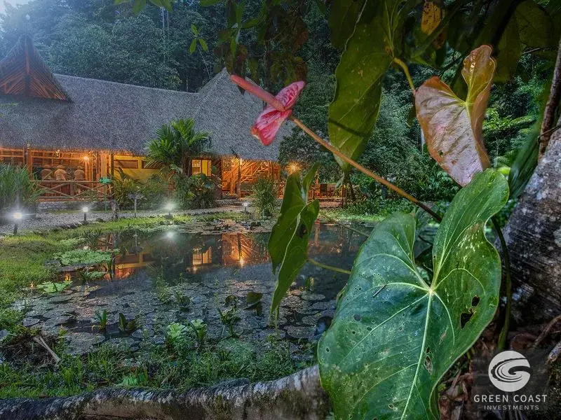 Turnkey Eco-Lodge & Rainforest Reserve by Piedras Blancas National Park in Golfito — view 2, Golfito, Costa Rica