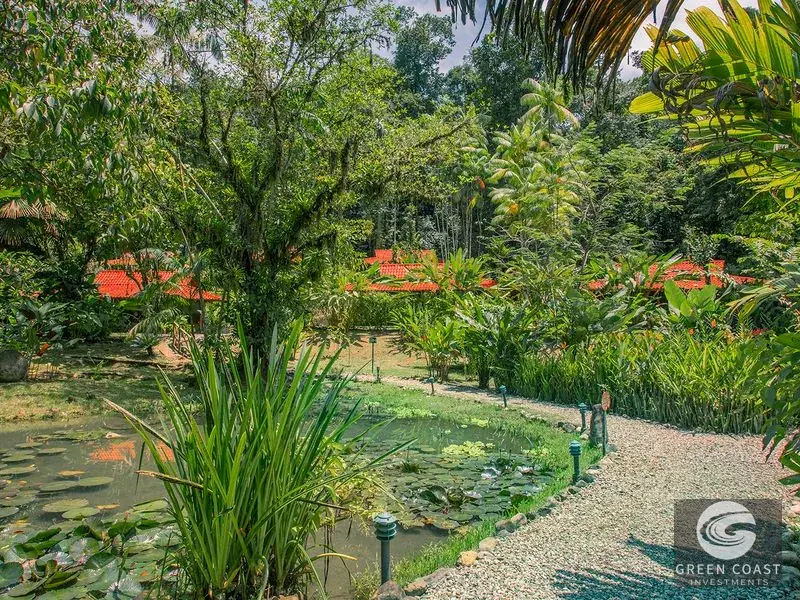 Turnkey Eco-Lodge & Rainforest Reserve by Piedras Blancas National Park in Golfito — view 3, Golfito, Costa Rica