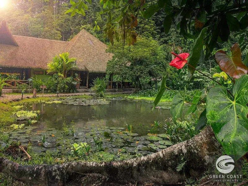 Turnkey Eco-Lodge & Rainforest Reserve by Piedras Blancas National Park in Golfito — view 7, Golfito, Costa Rica