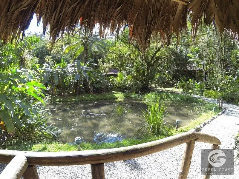 Turnkey Eco-Lodge & Rainforest Reserve by Piedras Blancas National Park in Golfito — view 8, Golfito, Costa Rica