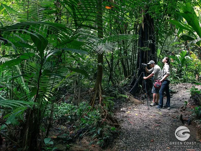 Turnkey Eco-Lodge & Rainforest Reserve by Piedras Blancas National Park in Golfito — view 21, Golfito, Costa Rica