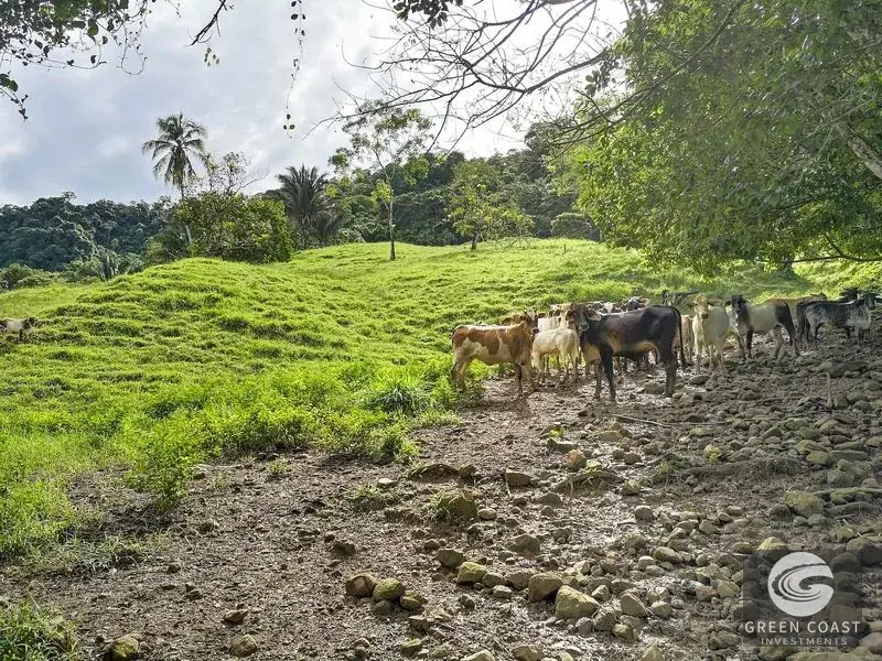 Dominical Prime Investment Estate Featuring 70m Waterfall, Pool, and Massive Usable Acreage Near Beach — view 6, Dominical, Costa Rica