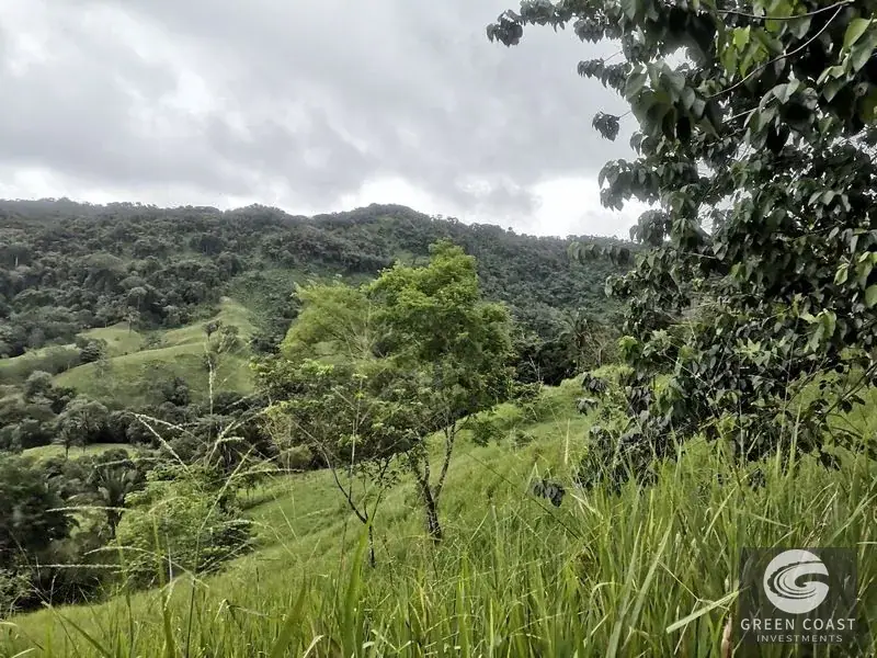 Dominical Prime Investment Estate Featuring 70m Waterfall, Pool, and Massive Usable Acreage Near Beach — view 14, Dominical, Costa Rica