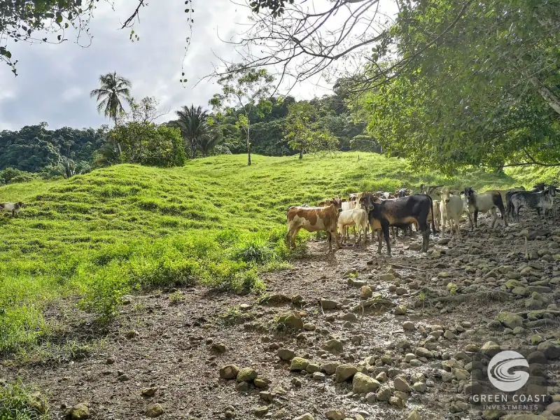Dominical Prime Investment Estate Featuring 70m Waterfall, Pool, and Massive Usable Acreage Near Beach — view 24, Dominical, Costa Rica