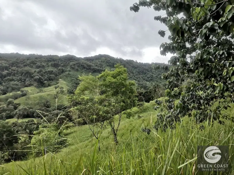 Dominical Prime Investment Estate Featuring 70m Waterfall, Pool, and Massive Usable Acreage Near Beach — view 32, Dominical, Costa Rica
