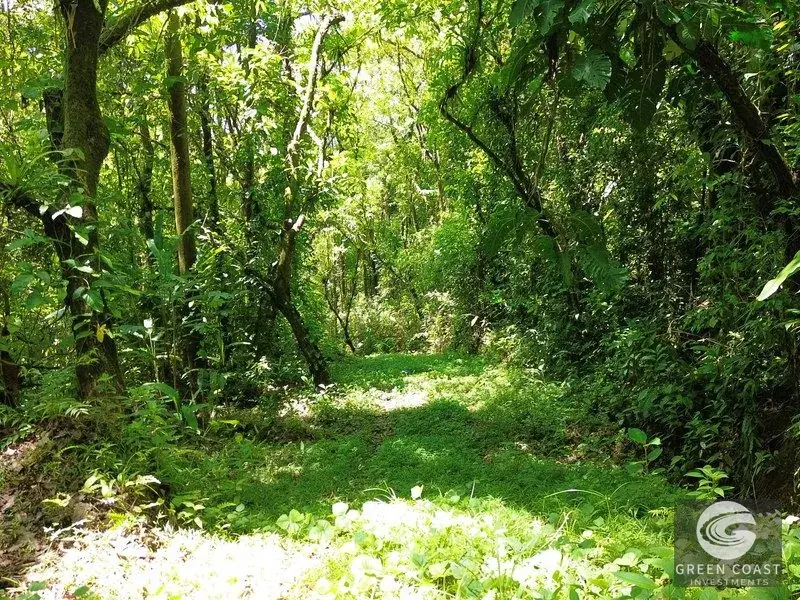Prime 4,694 m² Mixed-Use Development Parcel in Uvita | High-Visibility Commercial Footprint along Ruta 34 — view 14, Uvita, Costa Rica
