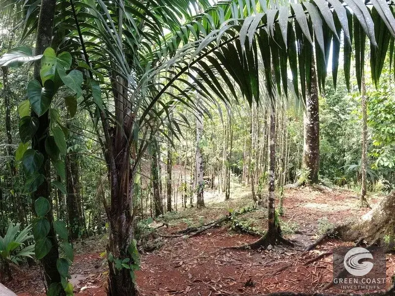 69-Acre Costa Rica Eco-Estate & Hotel Site with Ocean Views in Rincon — view 12, Rincon, Costa Rica