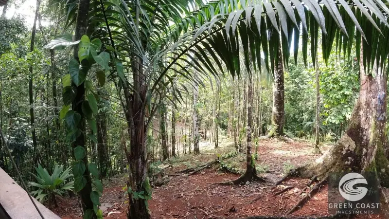 69-Acre Costa Rica Eco-Estate & Hotel Site with Ocean Views in Rincon — view 31, Rincon, Costa Rica