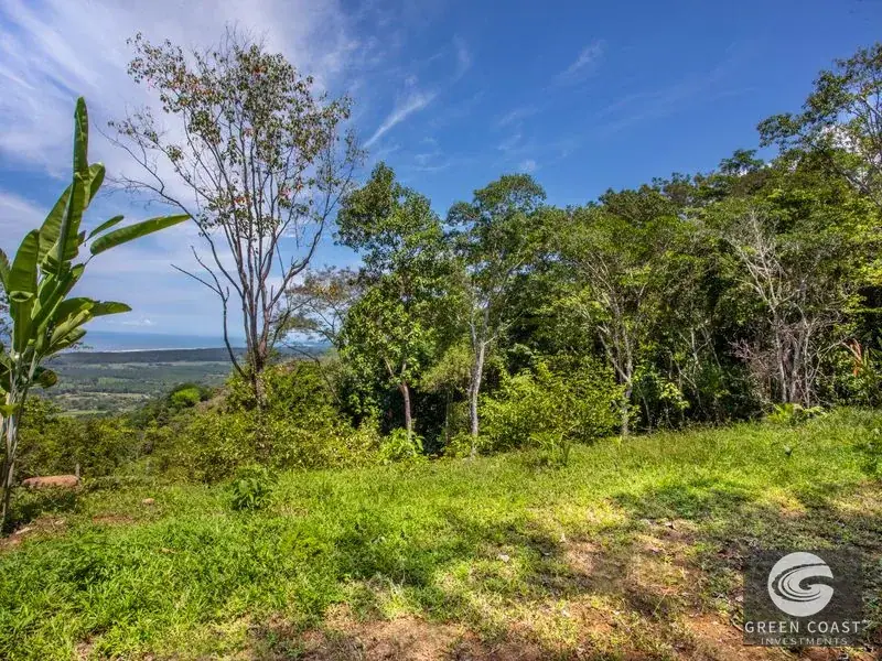 200-Acre Matapalo Mountain Compound with Sunset Ocean Views — view 24, Matapalo, Matapalo, Costa Rica