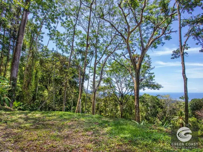 200-Acre Matapalo Mountain Compound with Sunset Ocean Views — view 29, Matapalo, Matapalo, Costa Rica