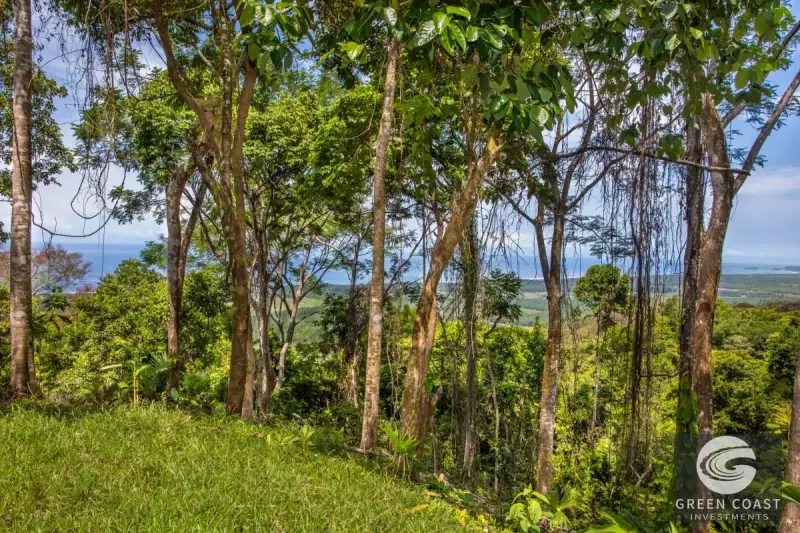 200-Acre Matapalo Mountain Compound with Sunset Ocean Views — view 55, Matapalo, Matapalo, Costa Rica