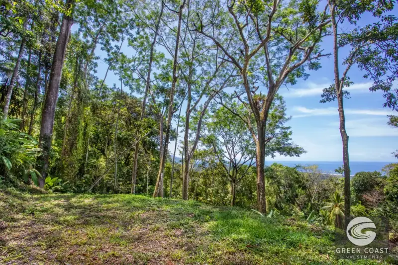 200-Acre Matapalo Mountain Compound with Sunset Ocean Views — view 62, Matapalo, Matapalo, Costa Rica