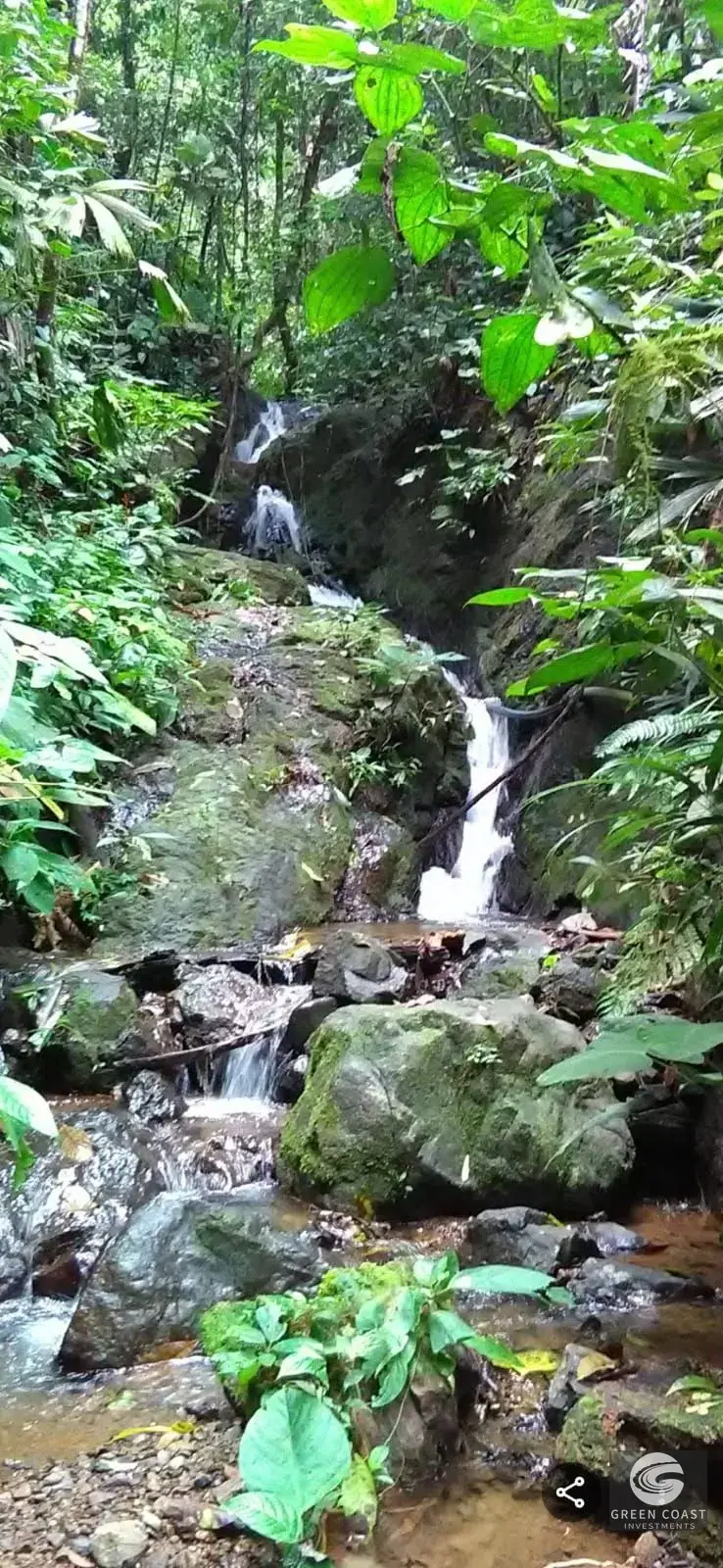 776-Hectare Osa Paradise: Panoramic Ocean Views, Rivers & Waterfalls in Sierpe — view 22, Sierpe, Osa, Costa Rica